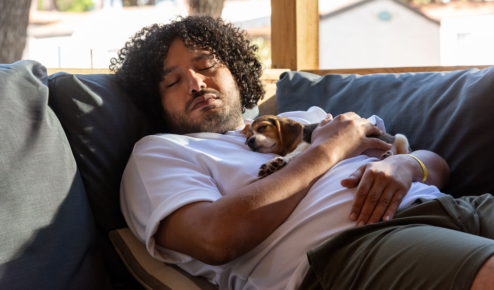 Des vacances avec votre chien